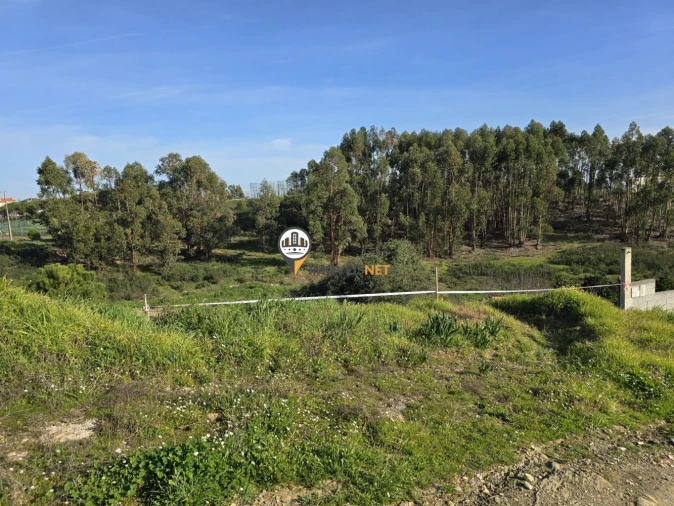 Terreno para Venda em Castelo Branco Foto 3