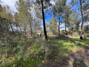 Terreno para Venda em Cebolais de Cima e Retaxo