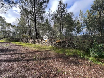 Terreno para Venda em Cebolais de Cima e Retaxo