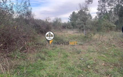 Terreno para Venda em Cebolais de Cima e Retaxo