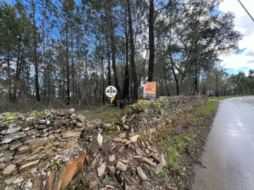 Terreno para Venda em Cebolais de Cima e Retaxo