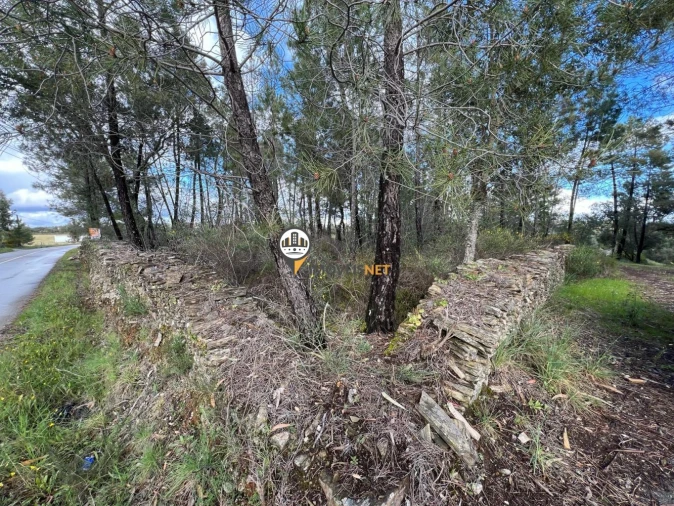 Terreno para Venda em Cebolais de Cima e Retaxo Foto 3