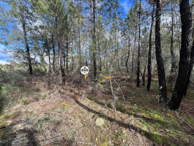 Terreno para Venda em Cebolais de Cima e Retaxo Foto 9