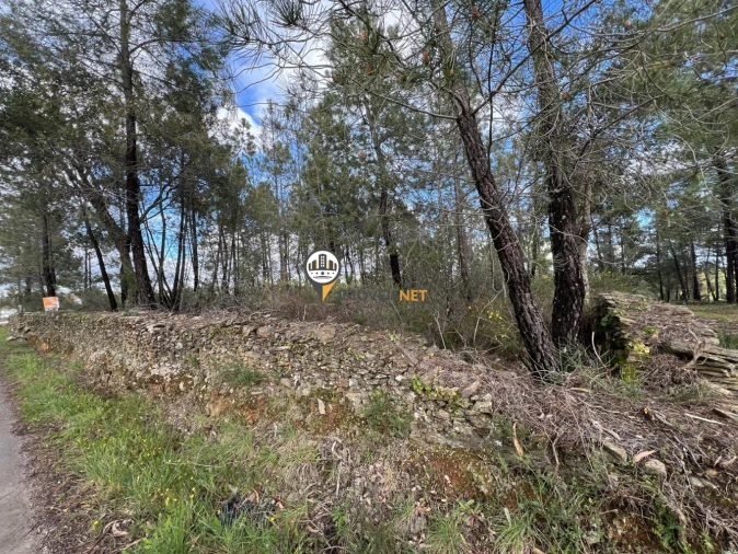 Terreno para Venda em Cebolais de Cima e Retaxo Foto 4