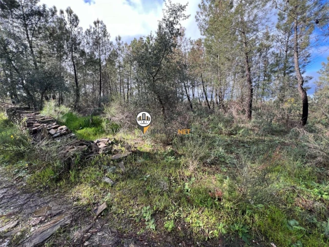 Terreno para Venda em Cebolais de Cima e Retaxo Foto 7
