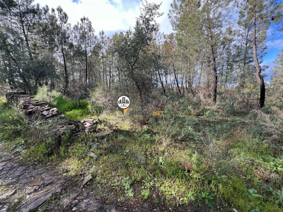 Terreno para Venda em Cebolais de Cima e Retaxo Foto 7