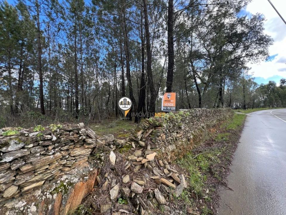 Terreno para Venda em Cebolais de Cima e Retaxo Foto 1