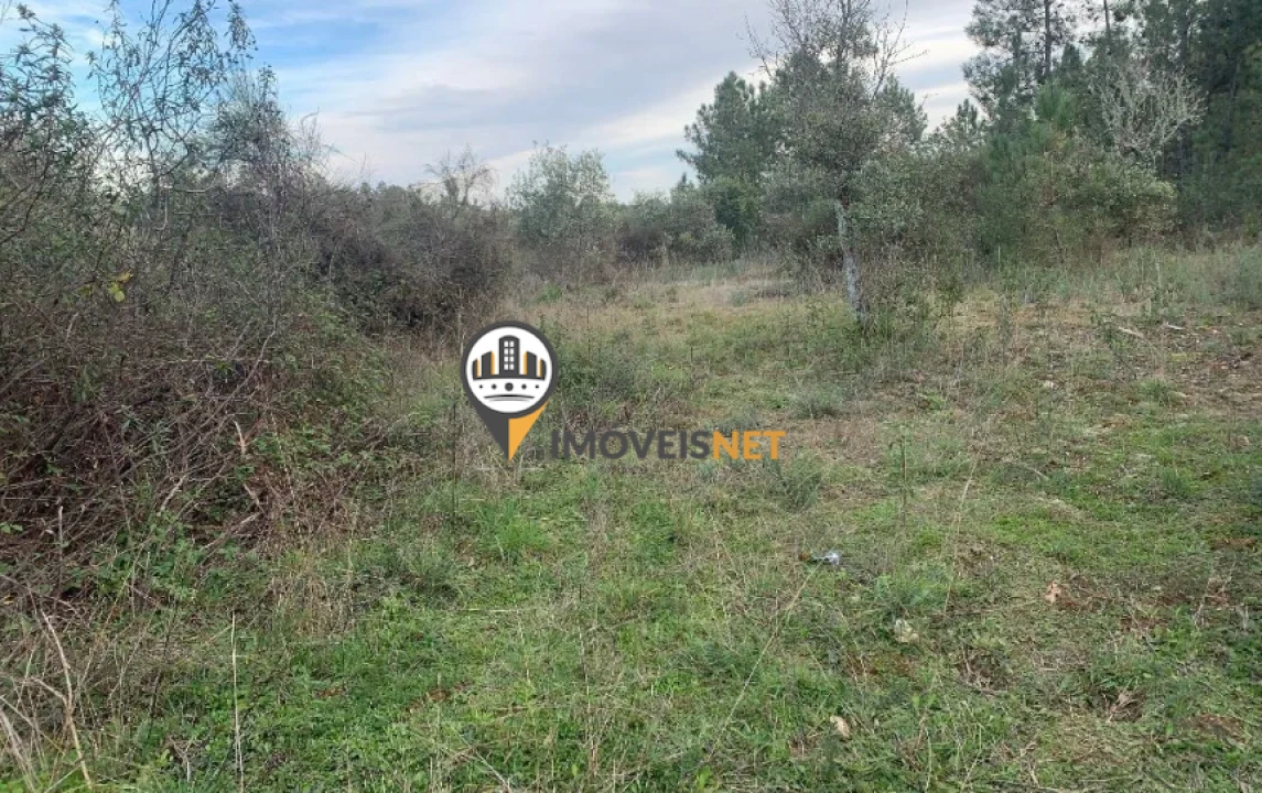 Terreno para Venda em Cebolais de Cima e Retaxo Foto 12