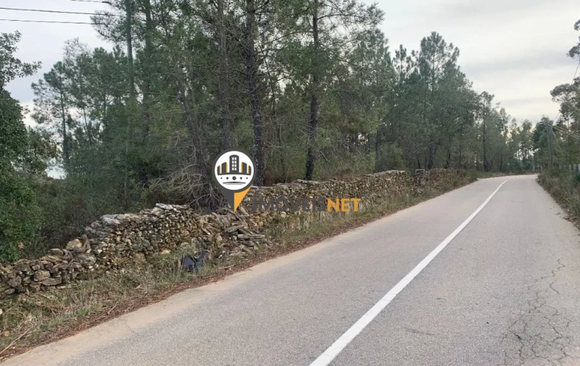 Terreno para Venda em Cebolais de Cima e Retaxo Foto 10