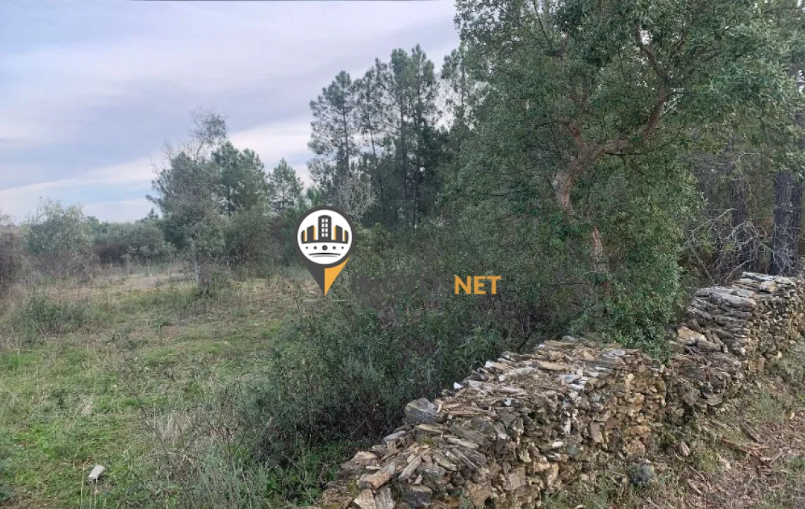 Terreno para Venda em Cebolais de Cima e Retaxo Foto 11