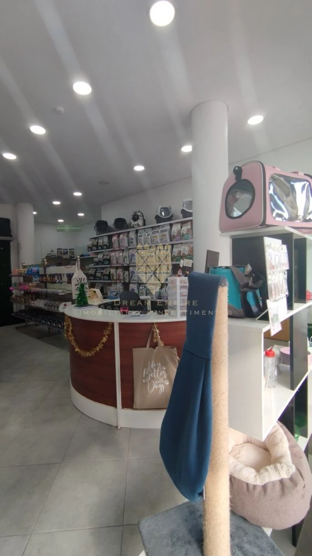 Loja para Trespasse em Santa Maria Maior Foto 12