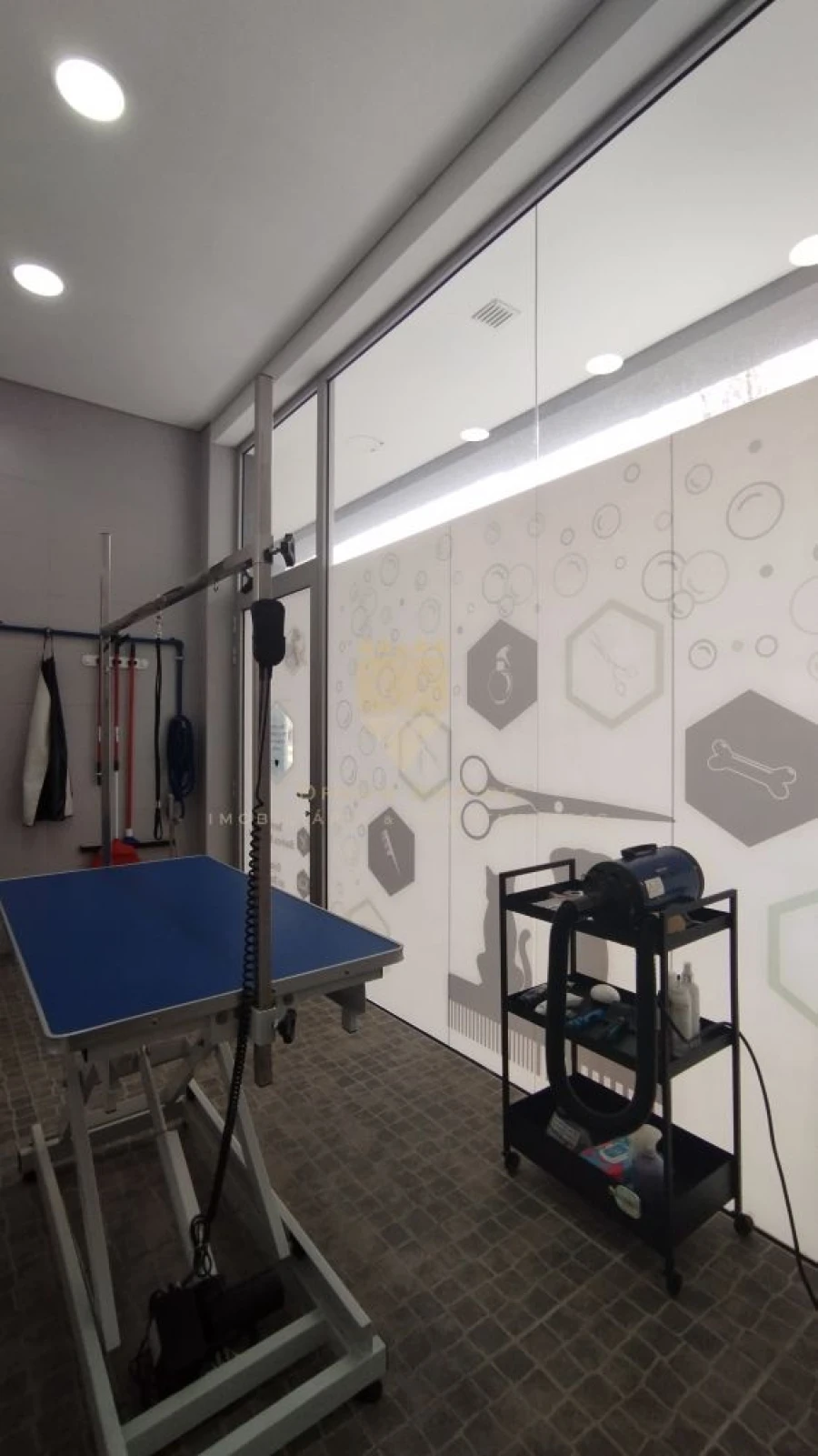 Loja para Trespasse em Santa Maria Maior Foto 16