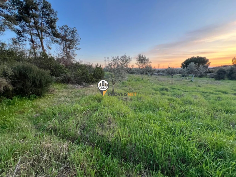 Terreno para Venda em Benquerenças Foto 9