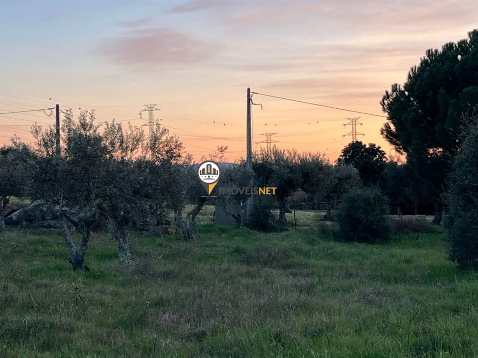 Terreno para Venda em Benquerenças Foto 4