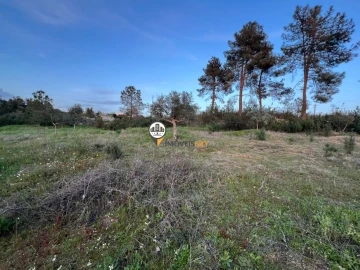 Terreno para Venda em Benquerenças