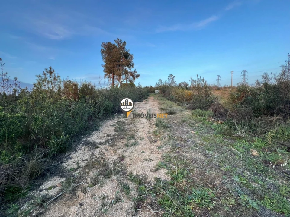 Terreno para Venda em Benquerenças Foto 3
