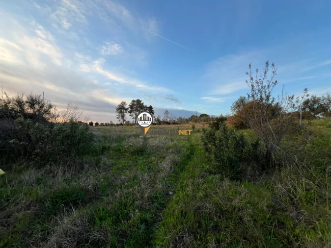 Terreno para Venda em Benquerenças Foto 11