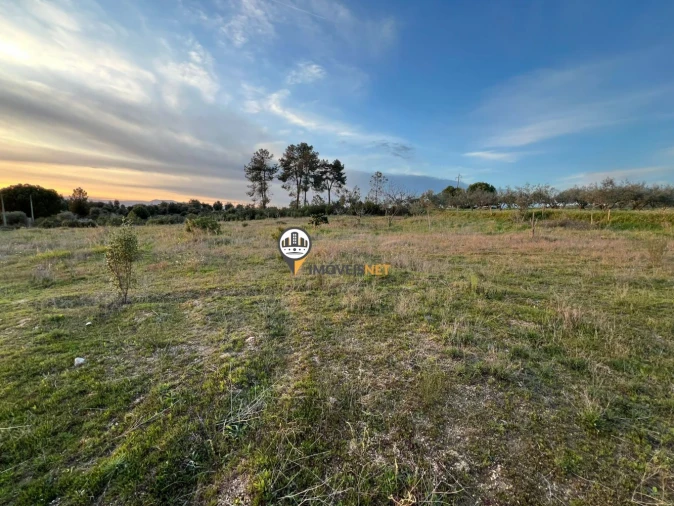 Terreno para Venda em Benquerenças Foto 2