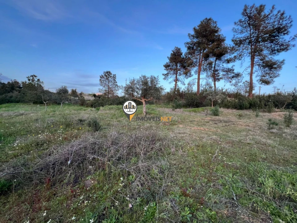 Terreno para Venda em Benquerenças Foto 13