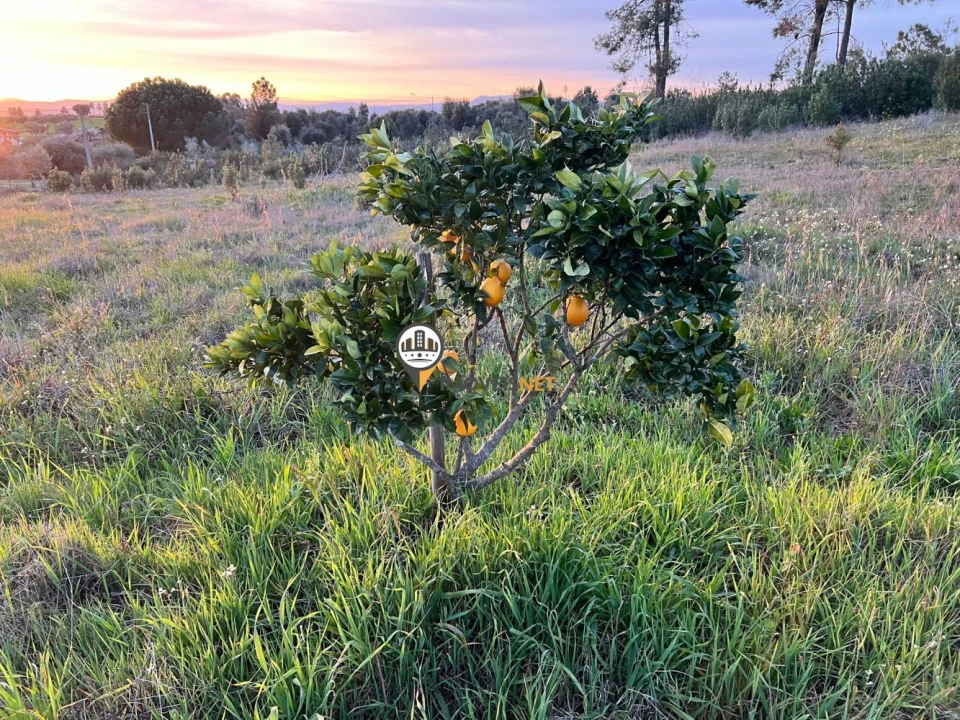 Terreno para Venda em Benquerenças Foto 5