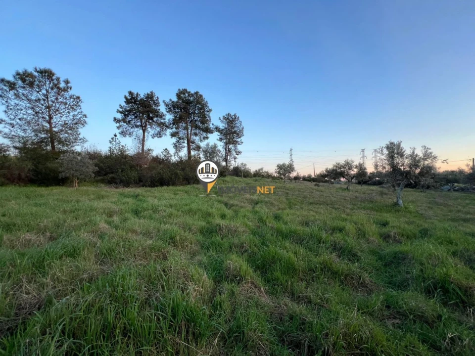 Terreno para Venda em Benquerenças Foto 8