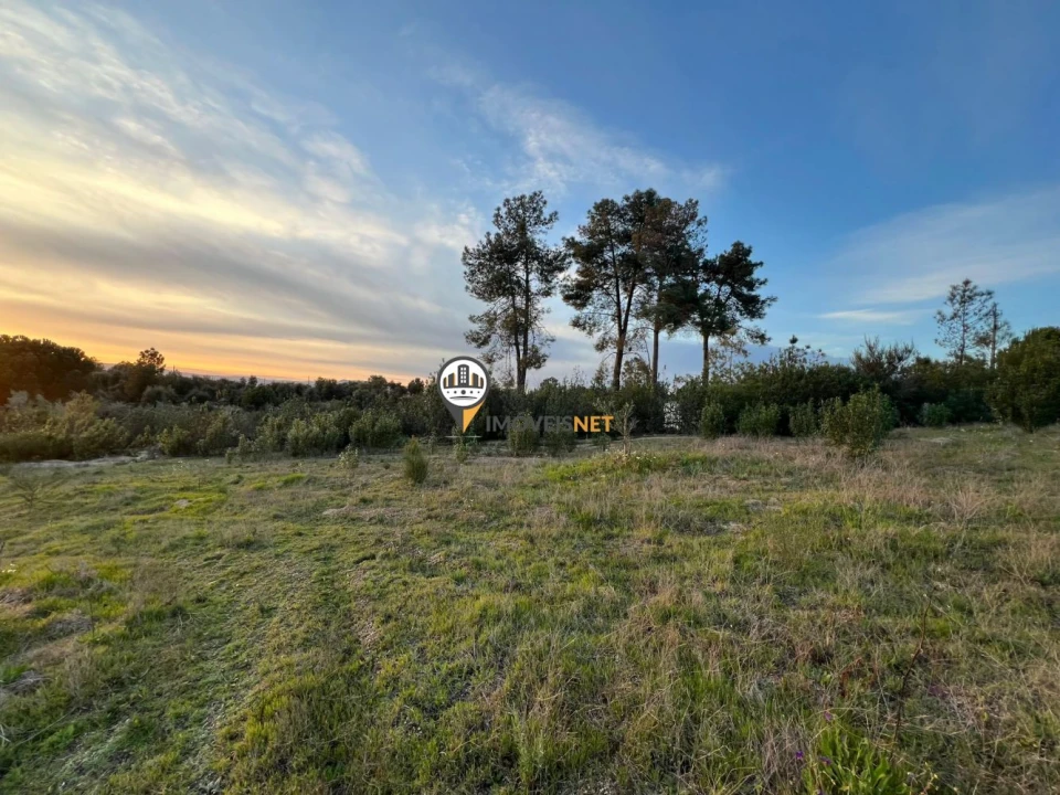 Terreno para Venda em Benquerenças Foto 17