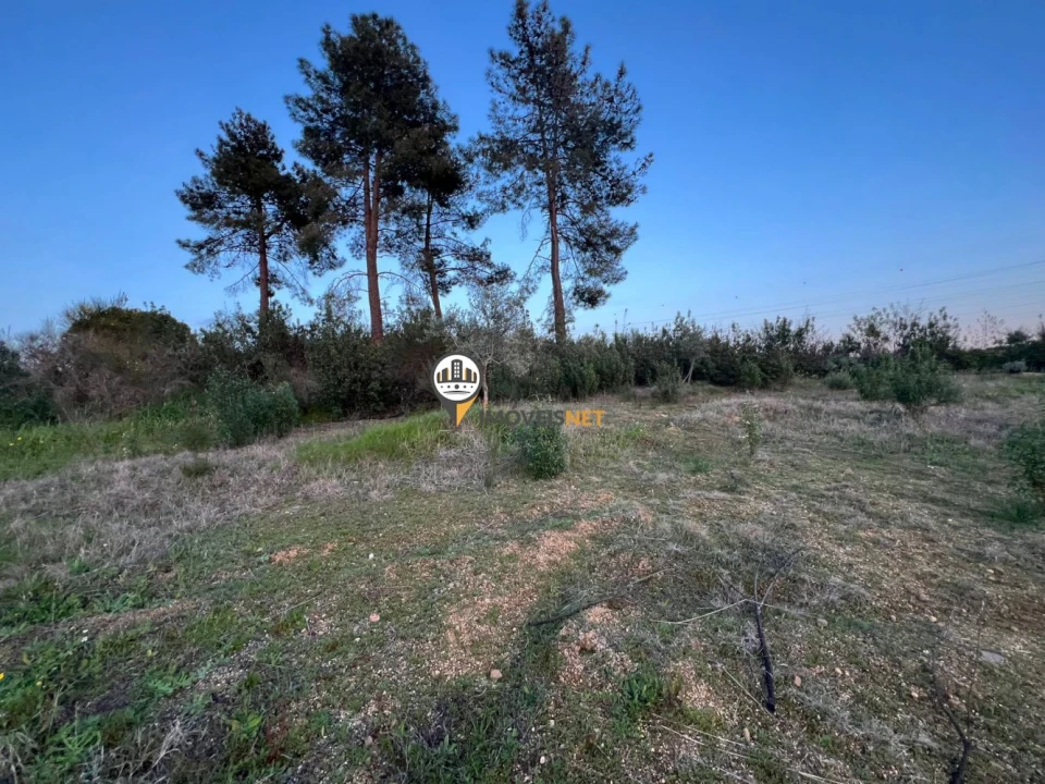 Terreno para Venda em Benquerenças Foto 12