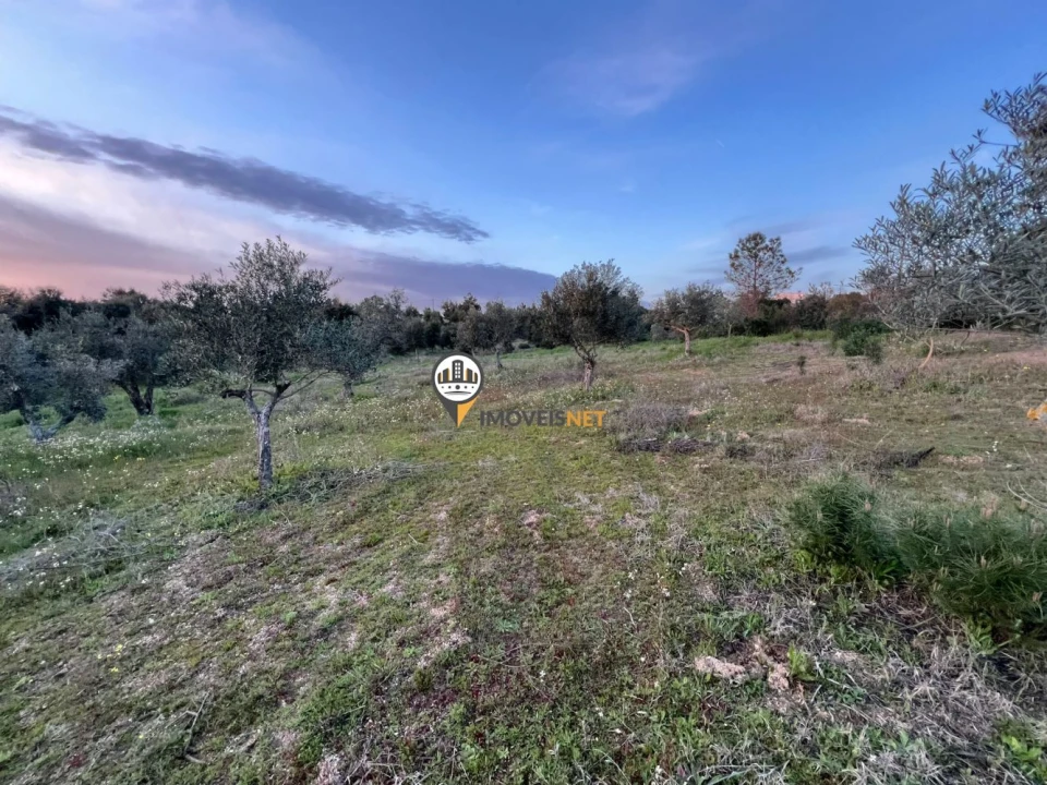 Terreno para Venda em Benquerenças Foto 14