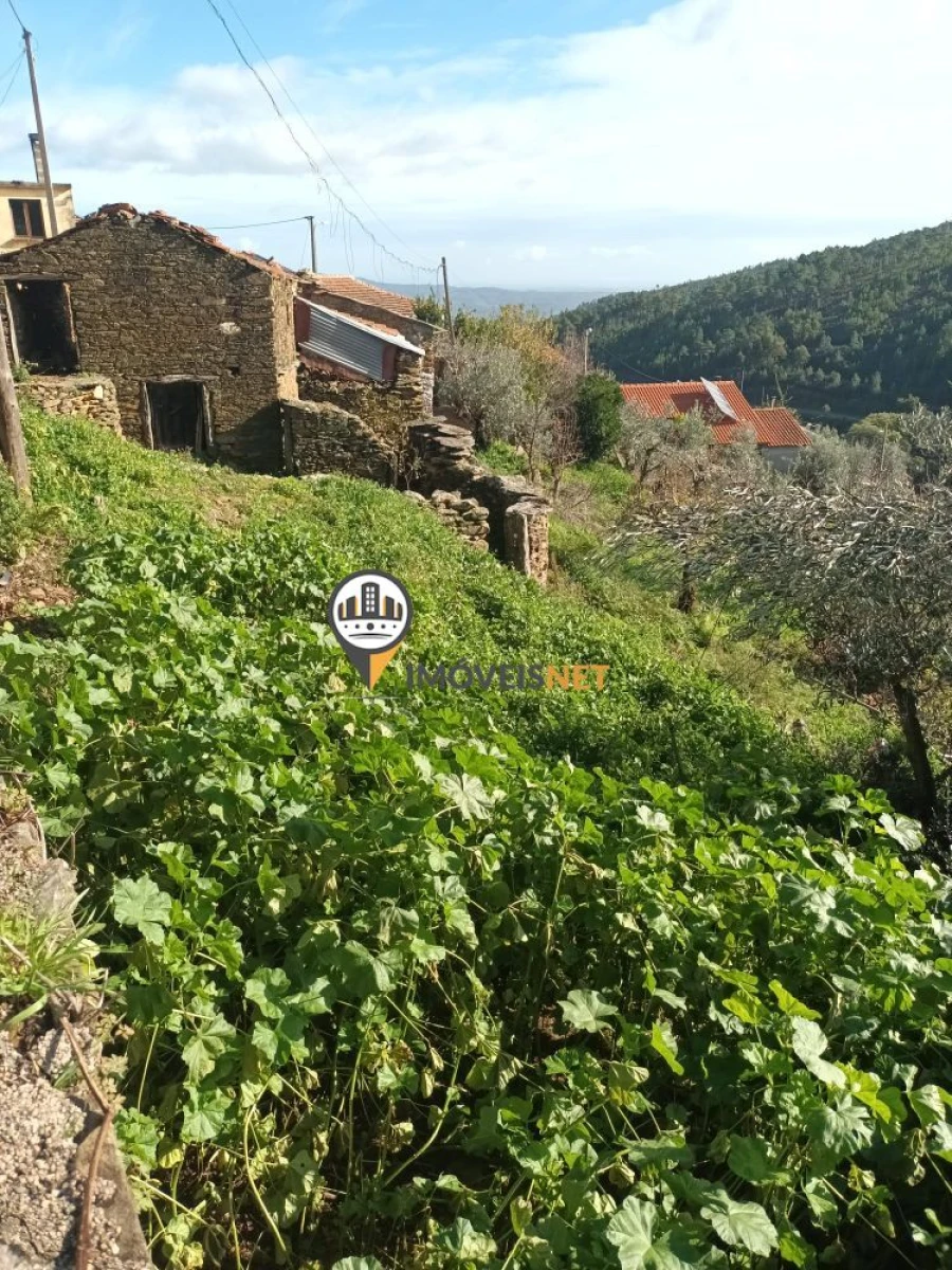 Moradia T1 para Venda em Almaceda Foto 8