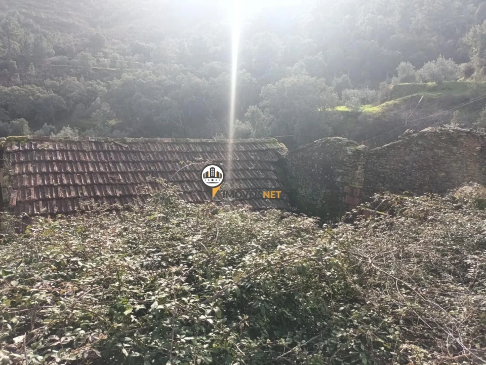 Moradia T0 para Venda em Almaceda Foto 7