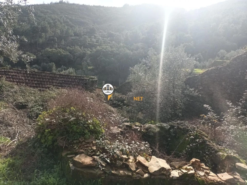 Moradia T0 para Venda em Almaceda Foto 5