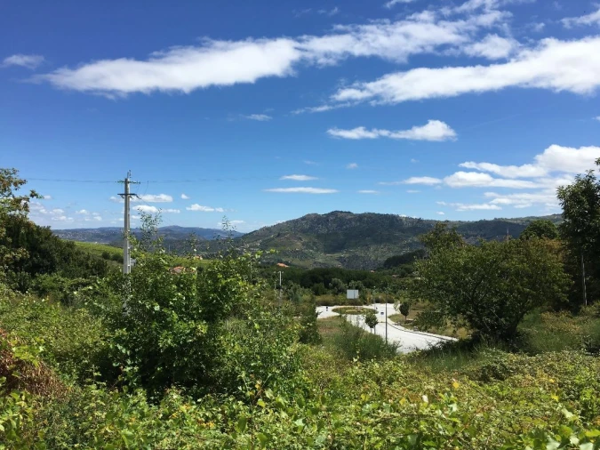 Terreno para Venda em Lamego (Almacave e Sé) Foto 7