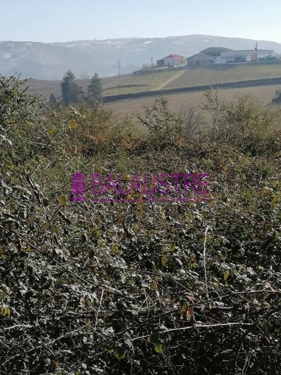 Terreno para Venda em Lamego (Almacave e Sé) Foto 18