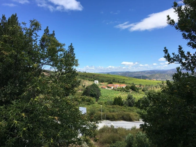 Terreno para Venda em Lamego (Almacave e Sé) Foto 9