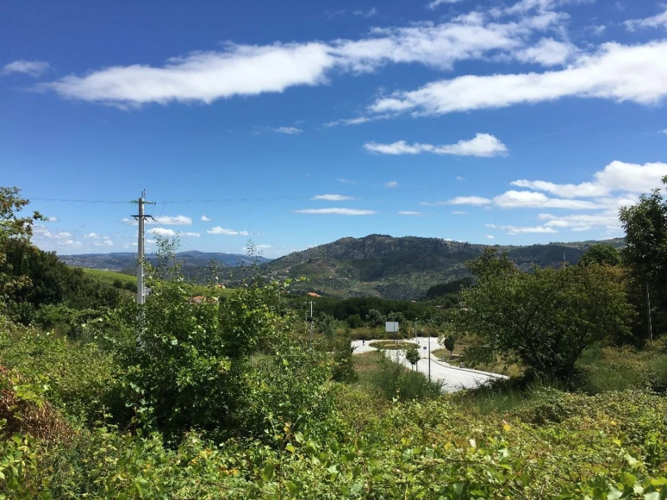 Terreno para Venda em Lamego (Almacave e Sé) Foto 7