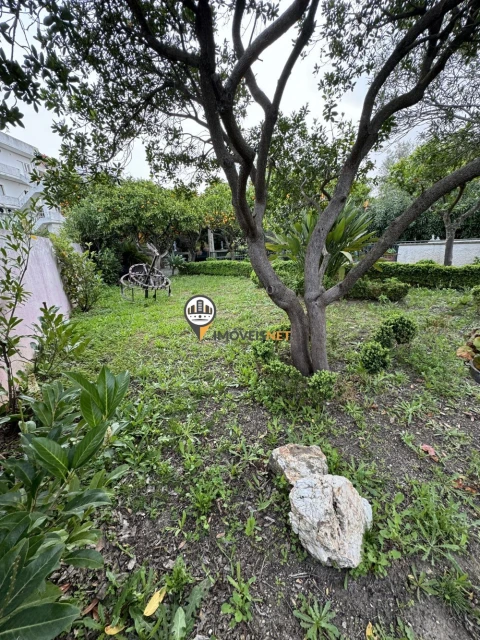Terreno para Venda em Castelo Branco