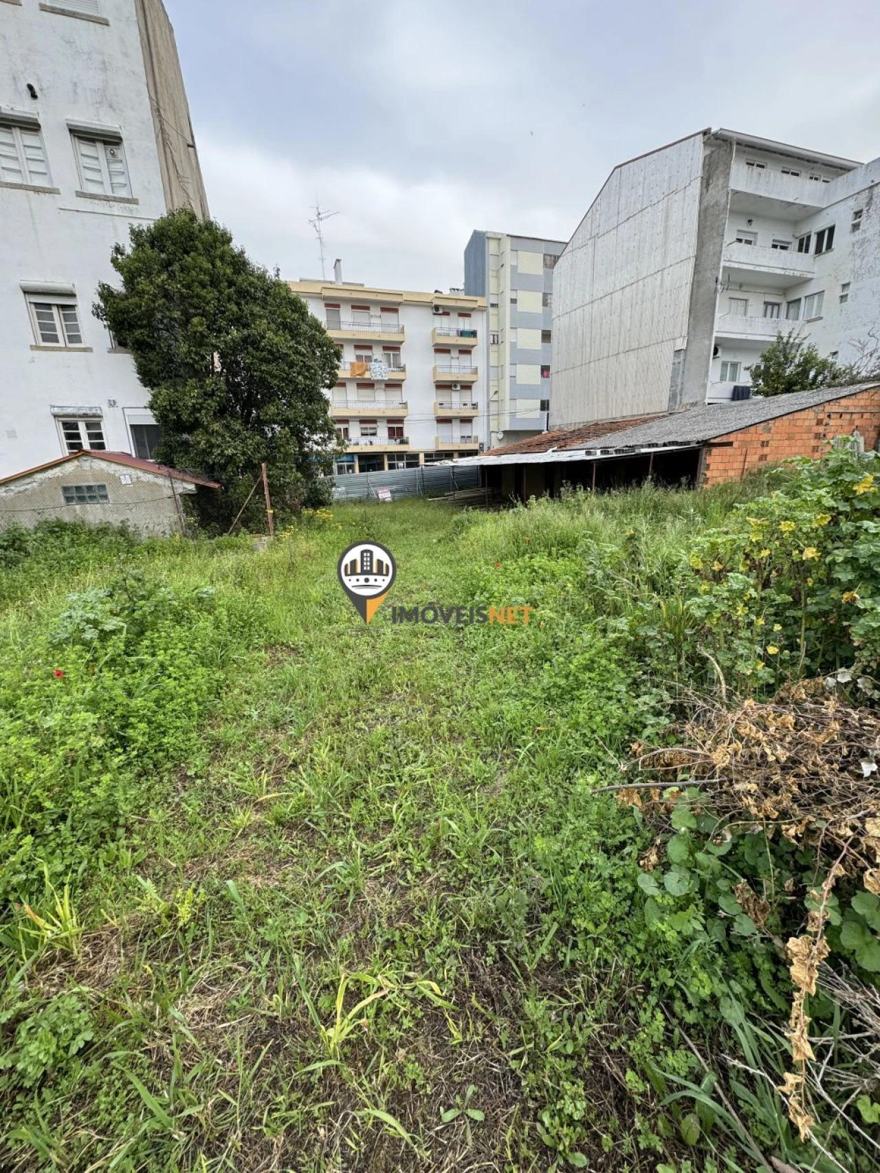Terreno para Venda em Castelo Branco Foto 10