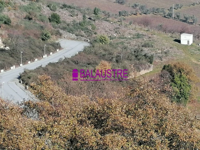 Terreno para Venda em Lamego (Almacave e Sé) Foto 6