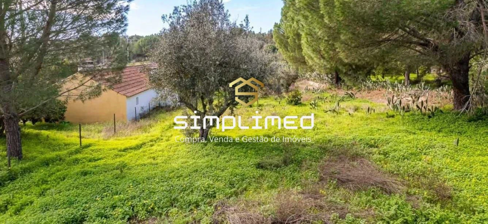 Quinta T2 para Venda em Montargil Foto 9