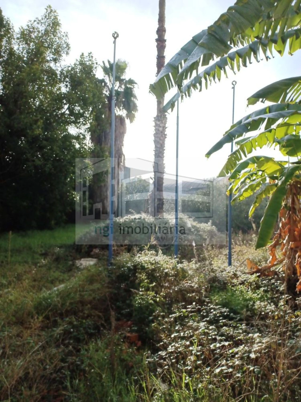 Loja para Venda em Falagueira-Venda Nova Foto 8