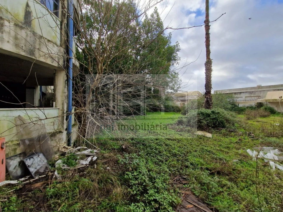 Loja para Venda em Falagueira-Venda Nova Foto 4