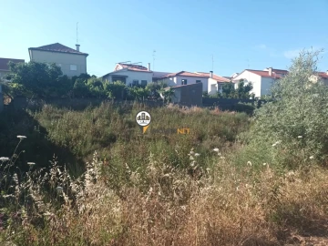 Terreno para Venda em Castelo Branco