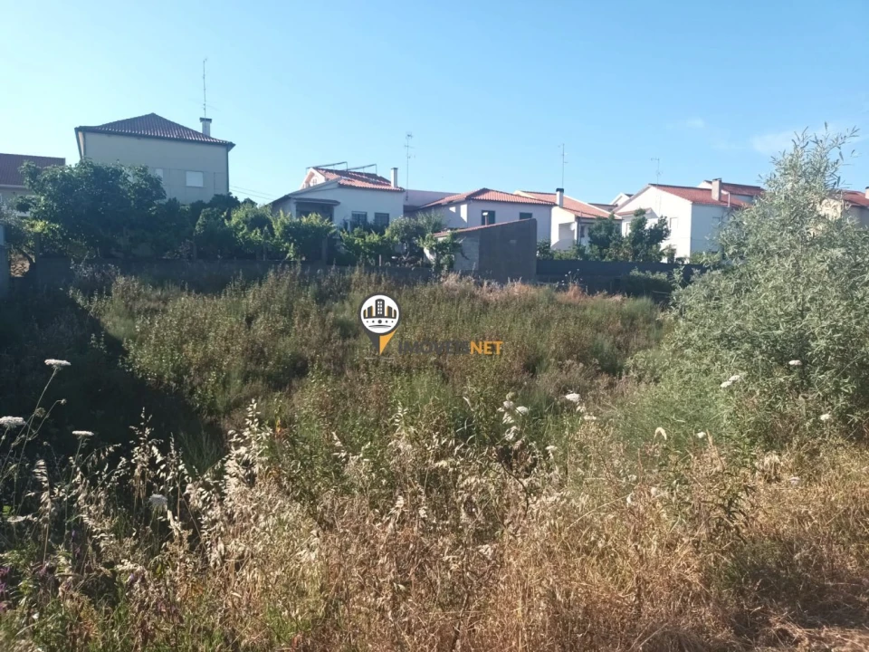 Terreno para Venda em Castelo Branco Foto 3