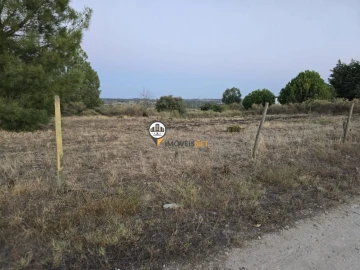 Terreno para Venda em Castelo Branco