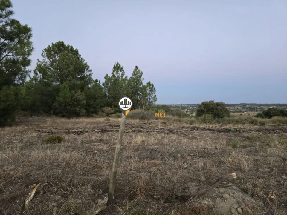 Terreno para Venda em Castelo Branco Foto 4