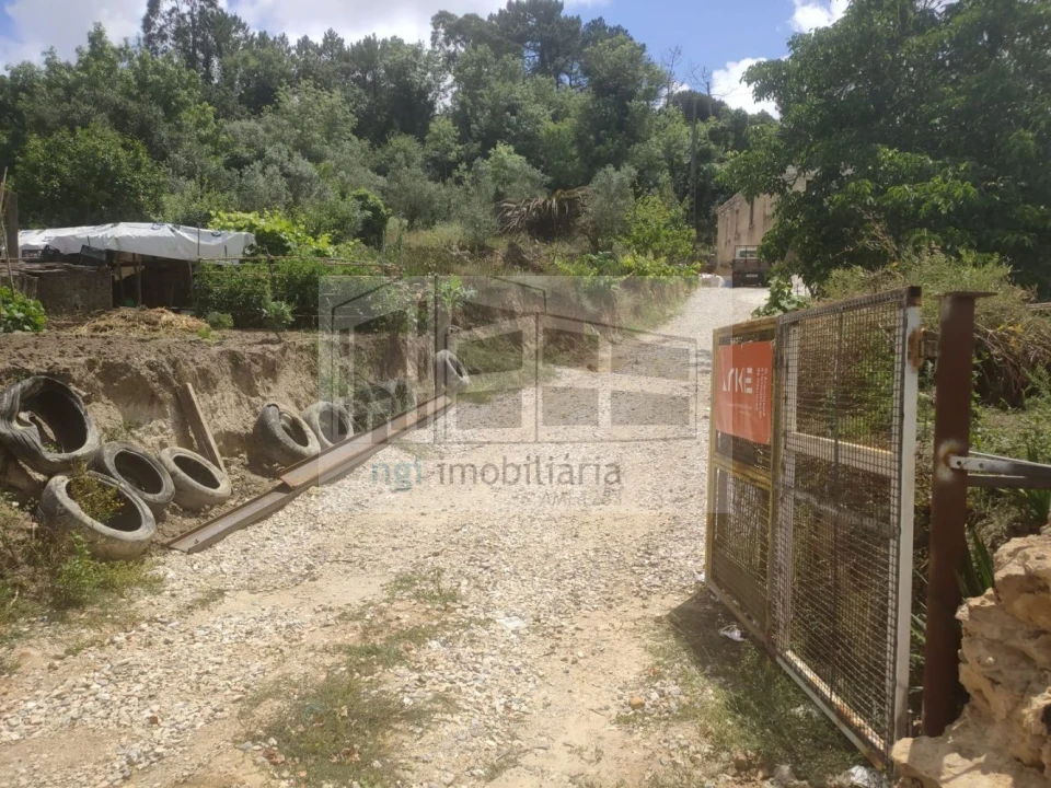 Terreno para Venda em Lousa Foto 4