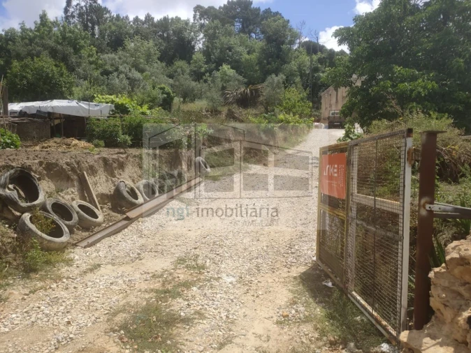 Terreno para Venda em Lousa Foto 4