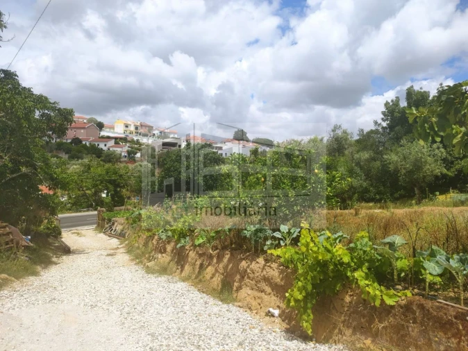 Terreno para Venda em Lousa Foto 5