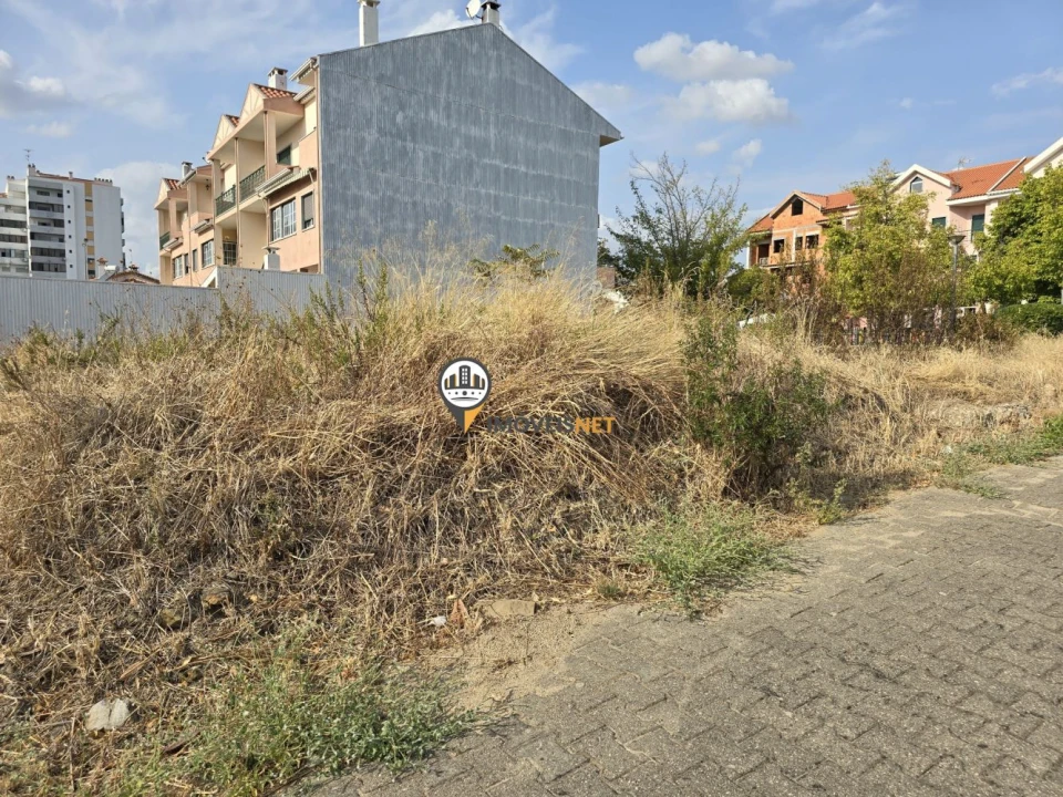 Terreno para Venda em Castelo Branco Foto 5