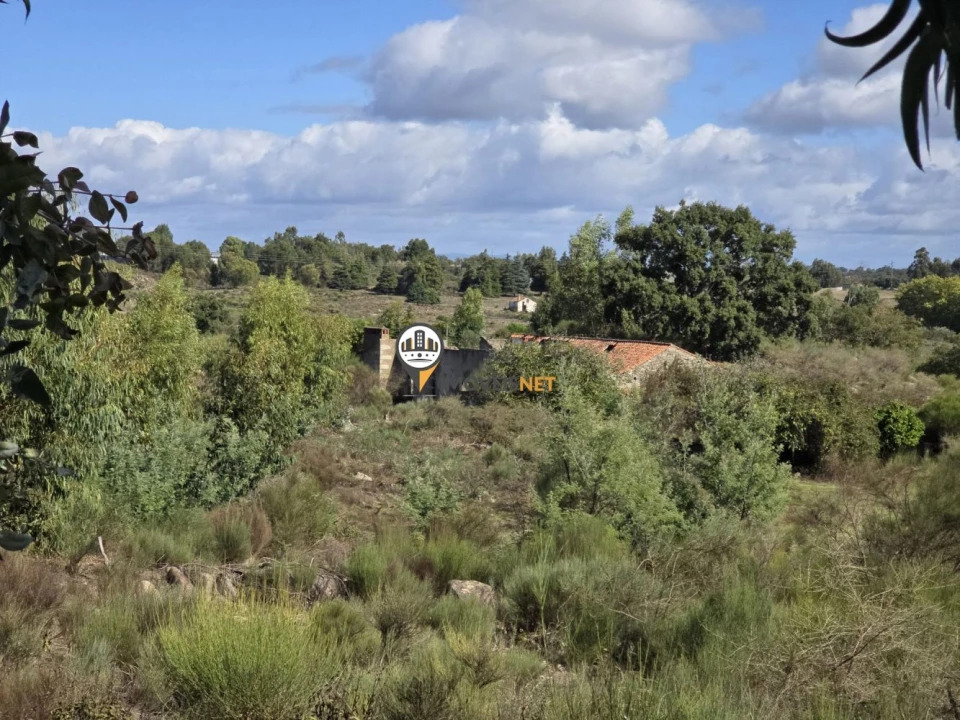 Quinta T0 para Venda em Escalos de Cima e Lousa Foto 15